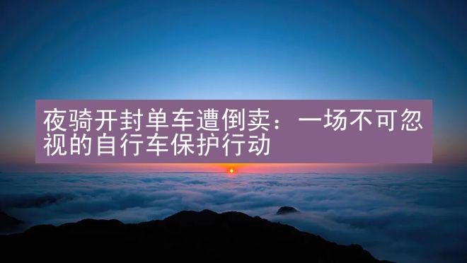 夜骑开封单车遭倒卖：一场不可忽视的自行车保护行动